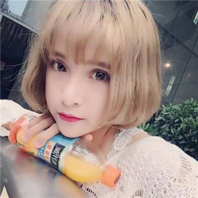 方块堡垒越南服最新版下载